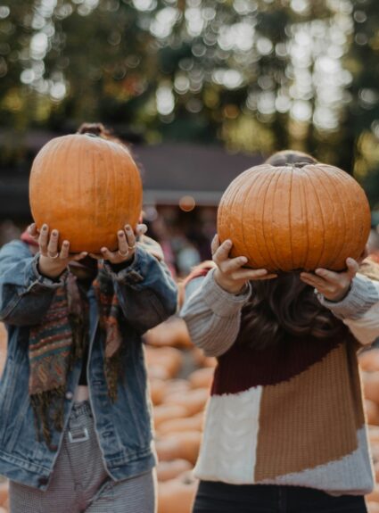 Your Guide to Fall in Illinois.